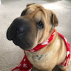 Meet your Posher, Tami